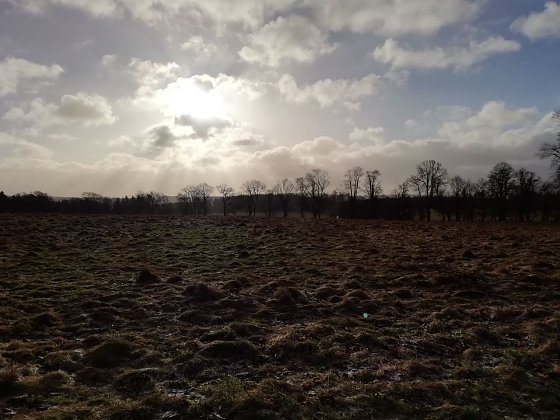 Bild: Das Wetter um 9 Uhr in Sophienhof: Null Grad, starker Wind und Sonne. Stra&szlig;en sind momentan frei.