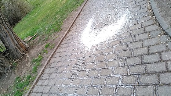 Bild: Gro&szlig;z&uuml;gig gestreut