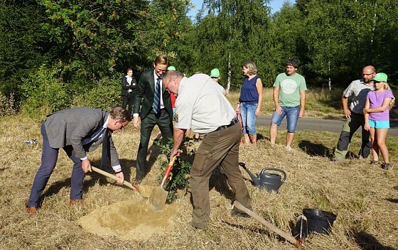 Bild: MP Bodo Ramelow (re.), Marc Fielmann (FIELMANN AG) und Volker Gebhardt (Th&uuml;ringenForst-A&ouml;R) bei der Pflanzung einer Stieleiche im Dreil&auml;ndereck Th&uuml;ringen, Niedersachsen und Sachsen-Anhalt