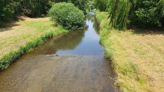 Bild: Niedrige Pegel auch im Landkreis Nordhausen