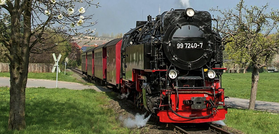 Bild: 