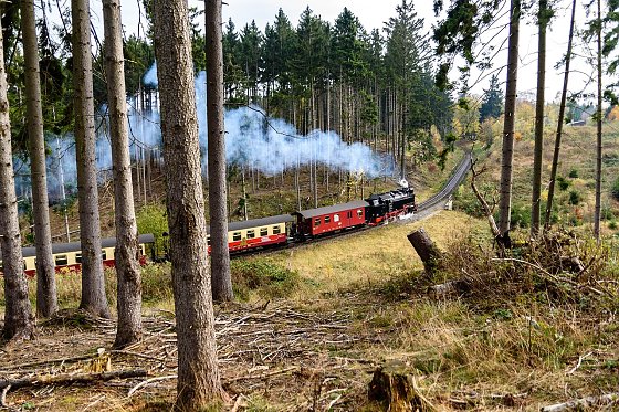 Bild: Urlaub geht auch im Harz