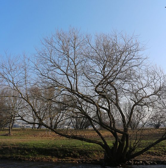 Bild: Wetterbild
