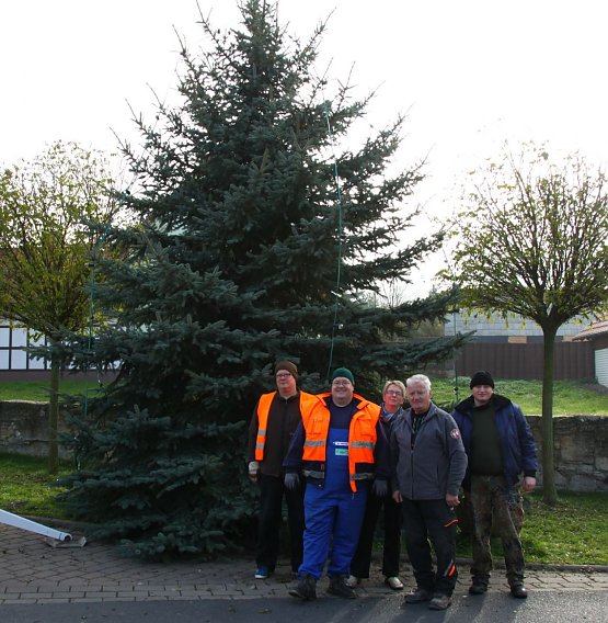 Bild: Weihnachtsbaum in Obergebra aufgestellt