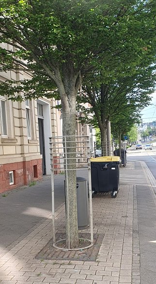 Bild: 