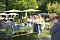 Sommerfest in Sülzhayn Sommerfest in Sülzhayn
