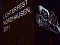 Lichterfest 2011