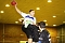 Handball vom Wochenende