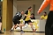 nnz-Ergebnisdienst: Handball nnz-Ergebnisdienst: Handball