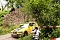 44. Roland-Rallye