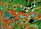 Falschfarbenbild Landsat Falschfarbenbild Landsat