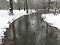 Winter im Park Winter im Park