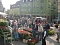 Pflanzenmarkt am Sonntag Pflanzenmarkt am Sonntag