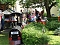 Sommerfest des Musikgartens