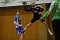 Bilder vom Handballwochenende