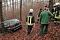 auto im Wald