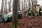 auto im Wald