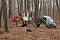auto im Wald
