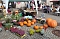Herbstmarkt in Nordhausen 