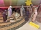 Krippenausstellung in Schaufenstern der Stadt Nordhausen
