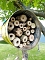 Bienenhotel mit angeschlossener Wiese Bienenhotel mit angeschlossener Wiese