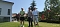 Zweiter Consulting Cup im Golfpark Neustadt