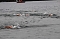 Olympischer Triathlon in Sundhausen