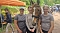 Parkfest und Parknick zum Muttertag im Park Hohenrode in Nordhausen