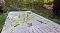 Parkfest und Parknick zum Muttertag im Park Hohenrode in Nordhausen