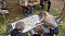 Parkfest und Parknick zum Muttertag im Park Hohenrode in Nordhausen
