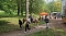 Parkfest und Parknick zum Muttertag im Park Hohenrode in Nordhausen
