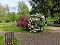 Impressionen vom Rhododendren-Fest in S&uuml;lzhayn.