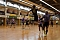 Impressionen vom Handball-Wochenende Impressionen vom Handball-Wochenende