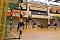 Impressionen vom Handball-Wochenende Impressionen vom Handball-Wochenende
