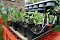 Am Sonntag fand im Park des Hue de Grais in Wolkramshausen die erste Pflanzentauschb&ouml;rse Nordth&uuml;ringens statt. 