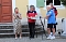 Fans und Cheftrainer des Th&uuml;ringer HC Herbert M&uuml;ller verabschieden neun Spitzenhandballerinnen in Bad Langensalza