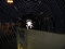 Spinne am Abend