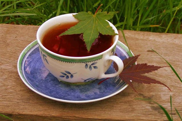 Bild: Tea Time in Ilfeld