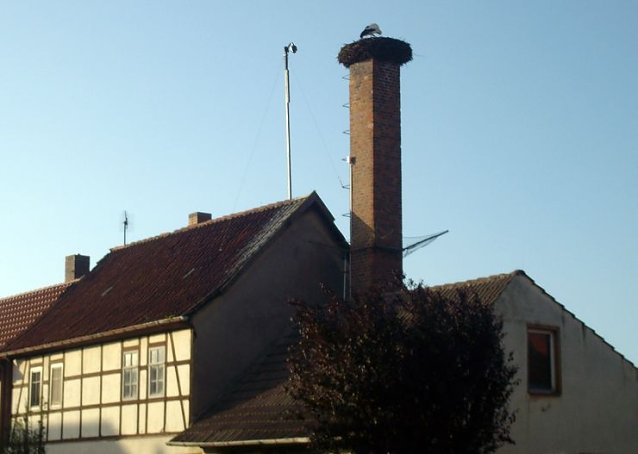 Bild: Angekommen