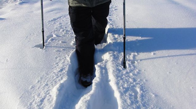 Bild: Stapfen durch den Schnee