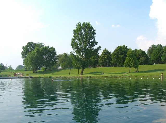 Bild: Ab ins Wasser