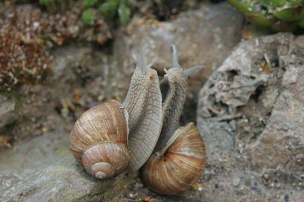 Bild: Das ist Liebe!