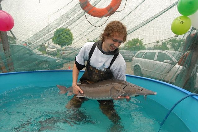 Bild: Dicker Fisch