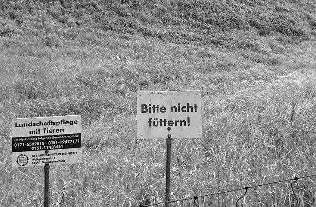 Bild: Viel vor in diesem Jahr