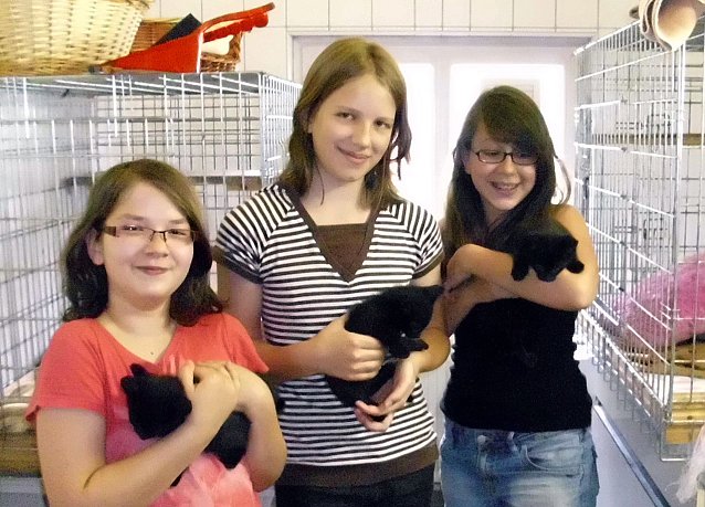 Bild: Besuch im Tierheim