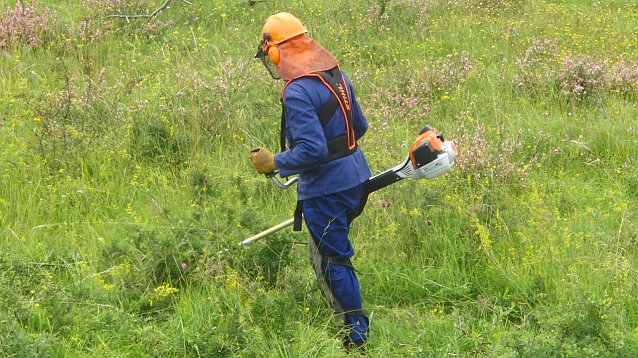 Bild: Gepflegter Einsatz