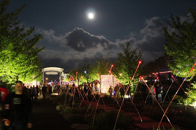 Bild: Botanischer Garten im Lichtermeer