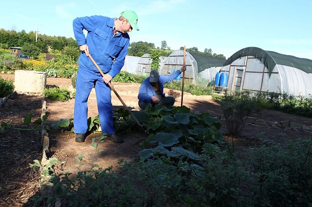 Bild: &Ouml;kologischer Gartenbau