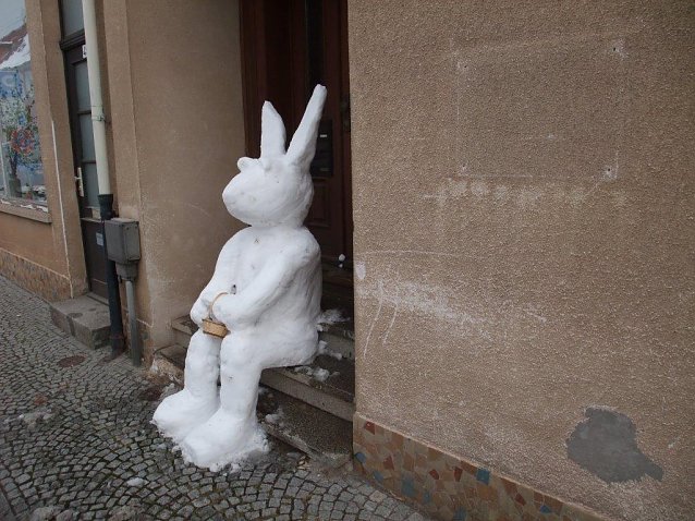 Bild: Schneehase oder Osterhase