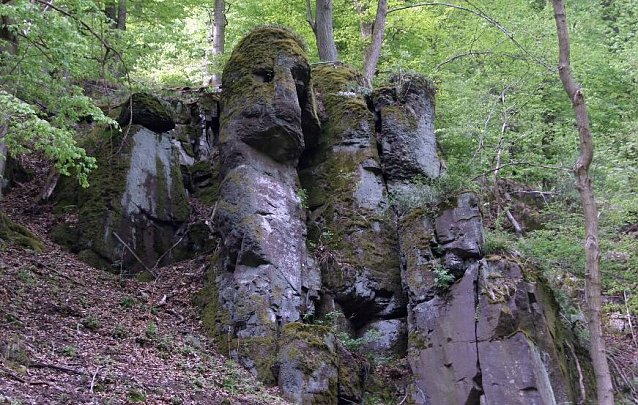 Bild: Das Steinm&uuml;hlental